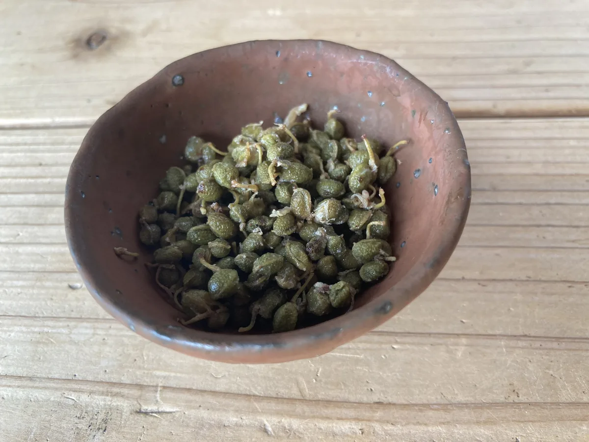山椒の佃煮（さんしょうのつくだに）